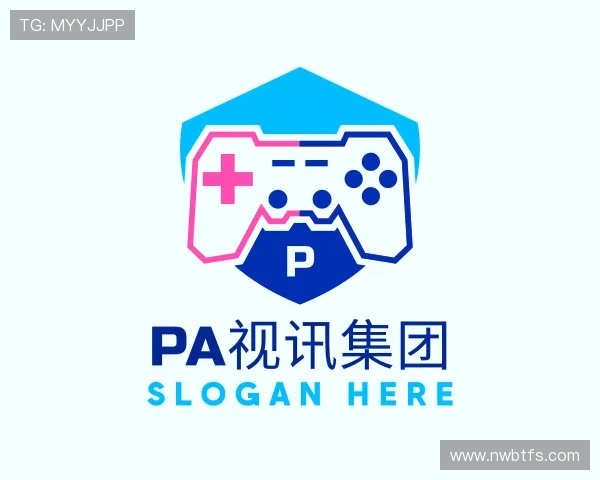 了解PA视讯集团